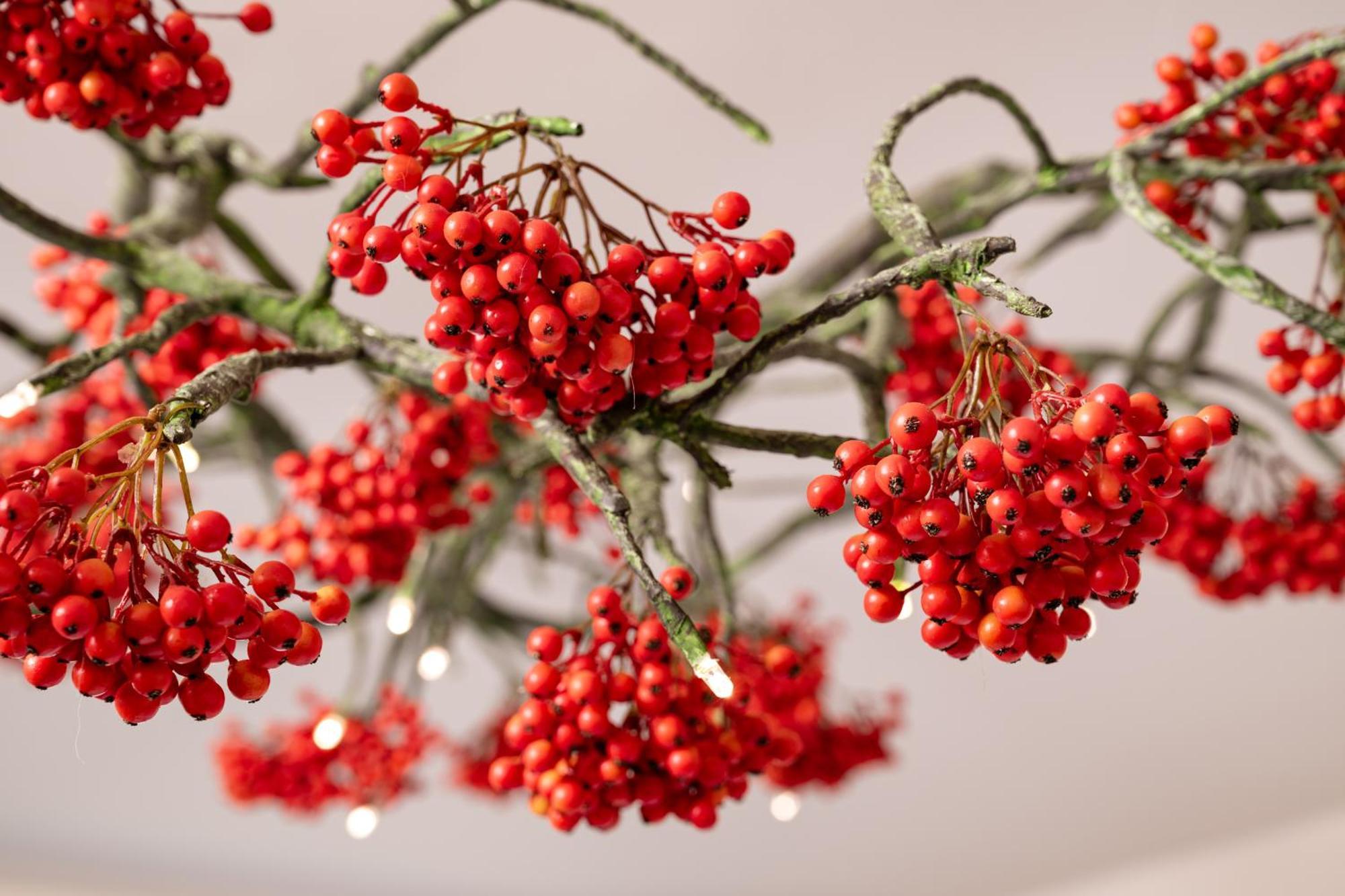 Herbarium Boutique Hotel Оломоуц Екстериор снимка